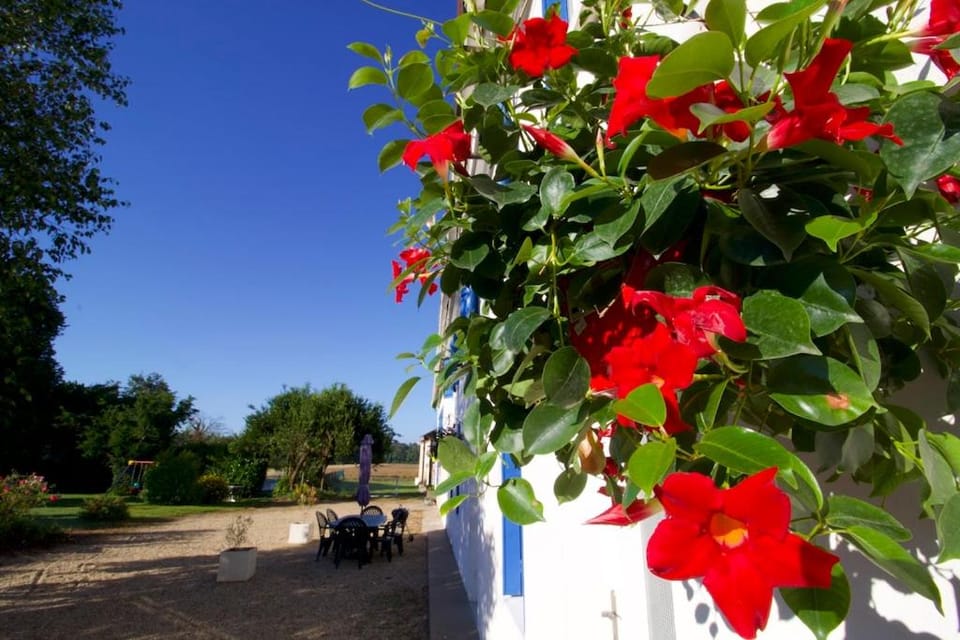 Garden, Balcony/Terrace, Garden view