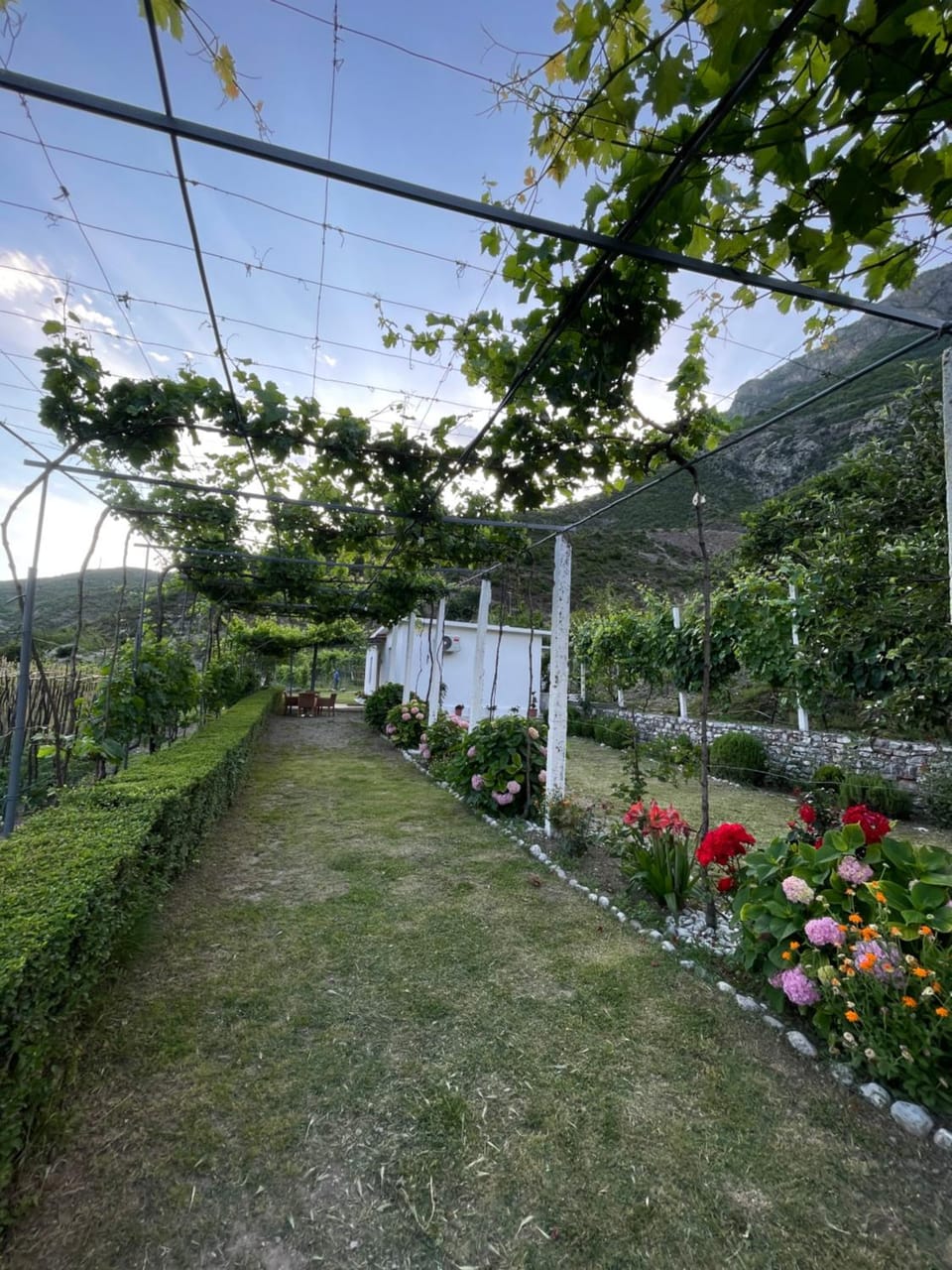 Guesthouse Camping the peaceful of Koman House in Europe