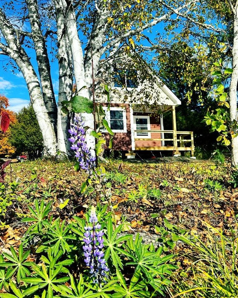 Magnificent Cabin Nestled Amidst Trees in Portage Lake, Maine Cabin in Maine