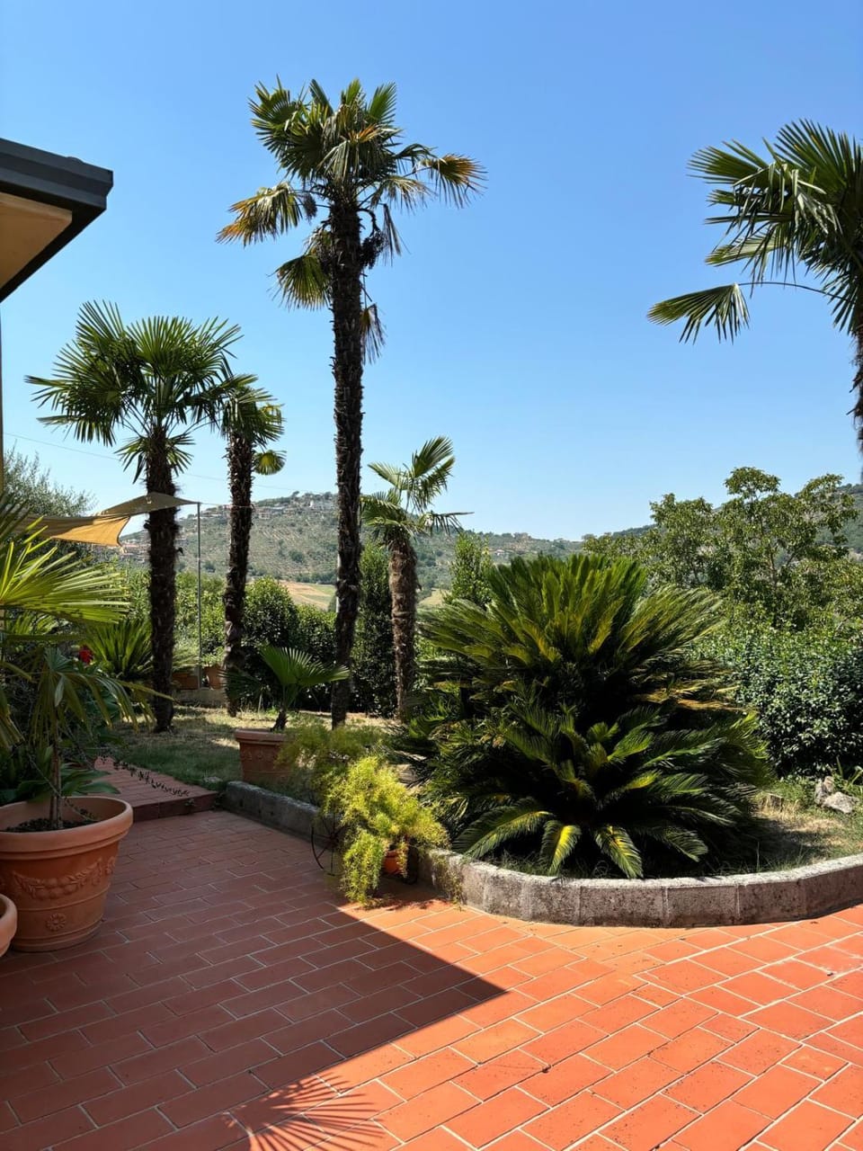Garden view