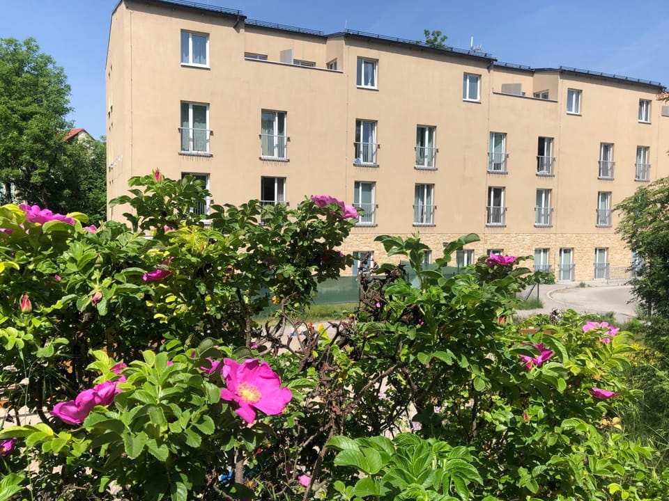 Cozy Apartment Prague Airport- 5 minute drive from AirPort Apartment in Prague