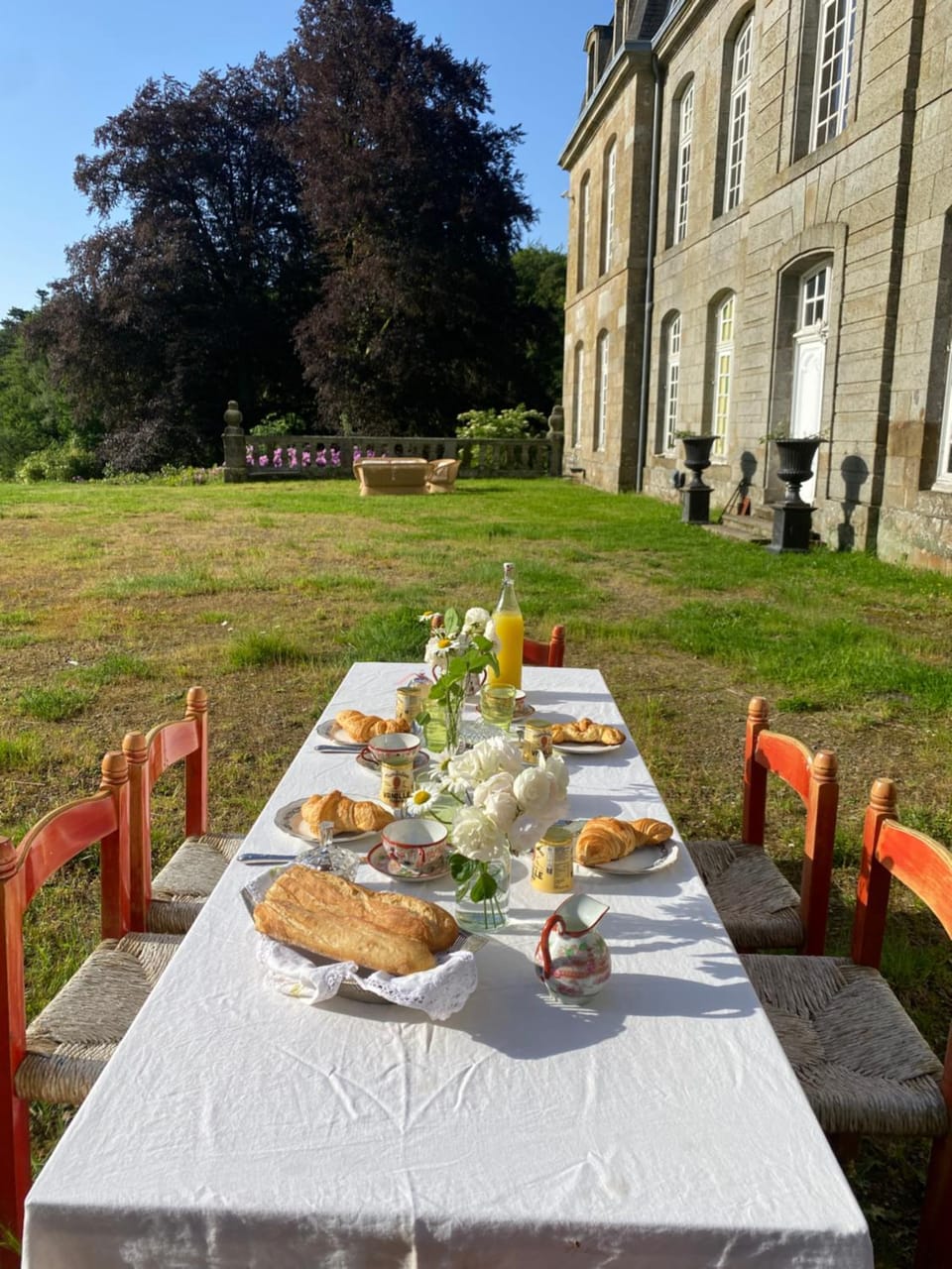 Day, Natural landscape, Garden, Food and drinks, Dining area, Food, Garden view, Breakfast