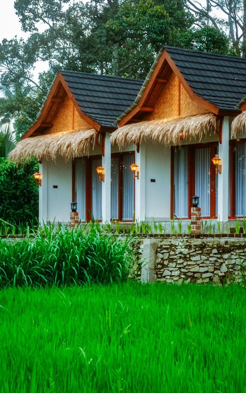 Property building, Spring, Day, Natural landscape, Garden view