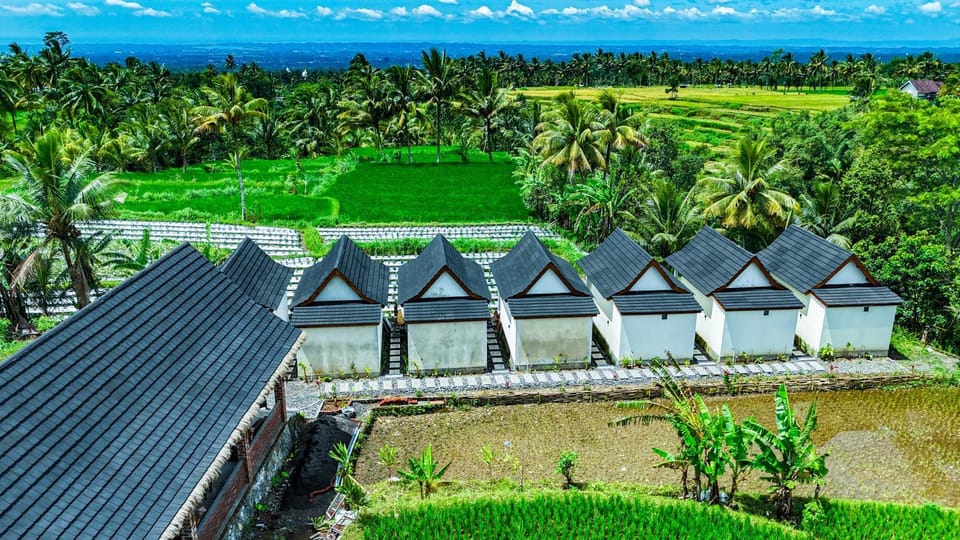 Property building, Natural landscape, Bird's eye view, Garden, Garden view