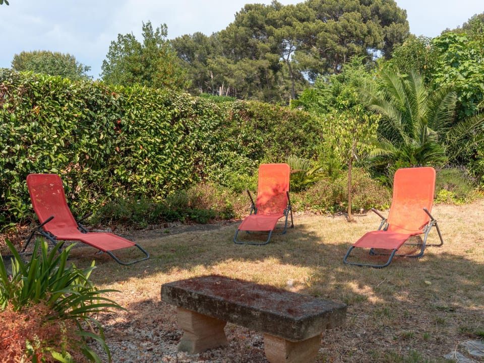 Garden, Garden, sunbed
