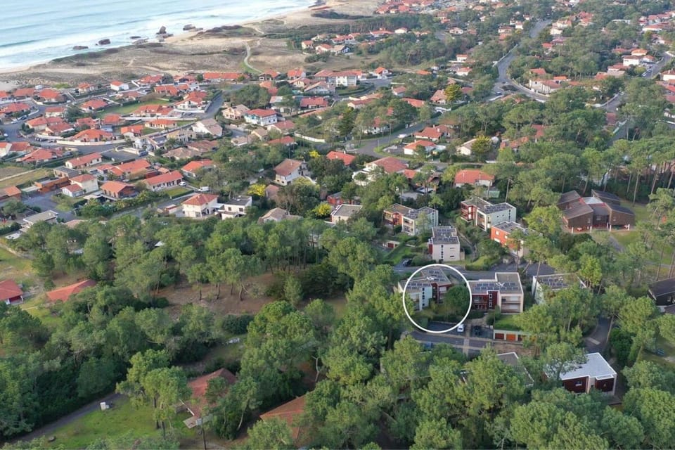 Bird's eye view, Location