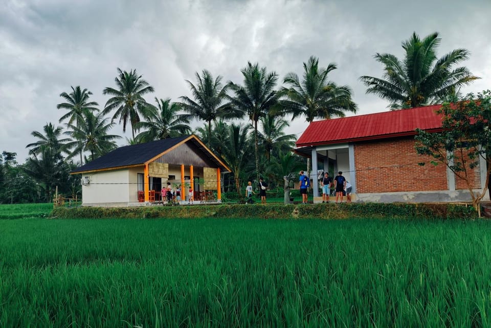 Property building, Day, Natural landscape, Garden view