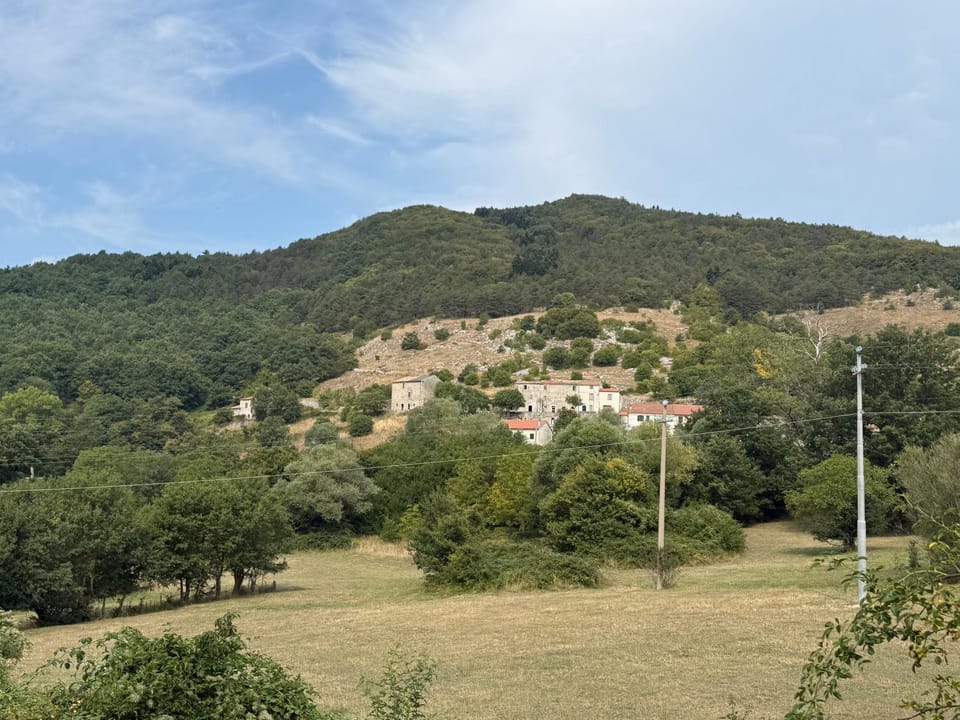 Mountain view