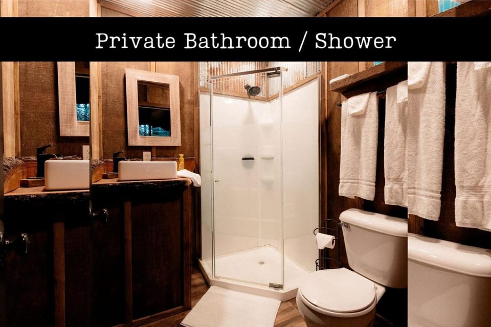 Shower, Toilet, Bathroom, towels