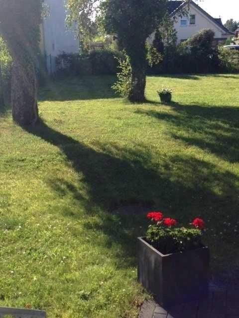 Natural landscape, Garden, View (from property/room), Garden view