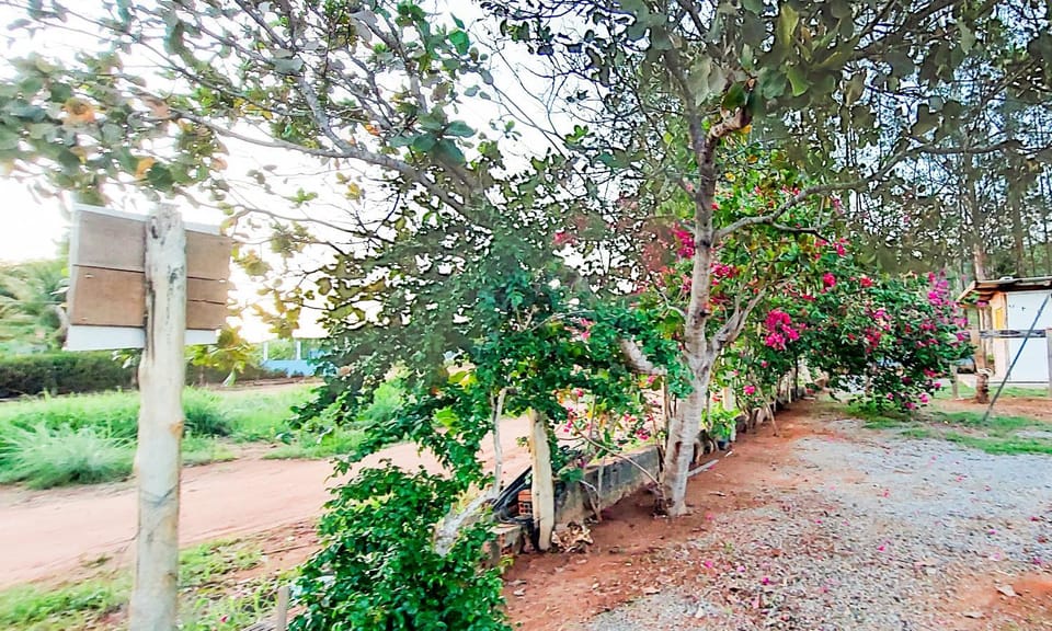 Garden, Garden view