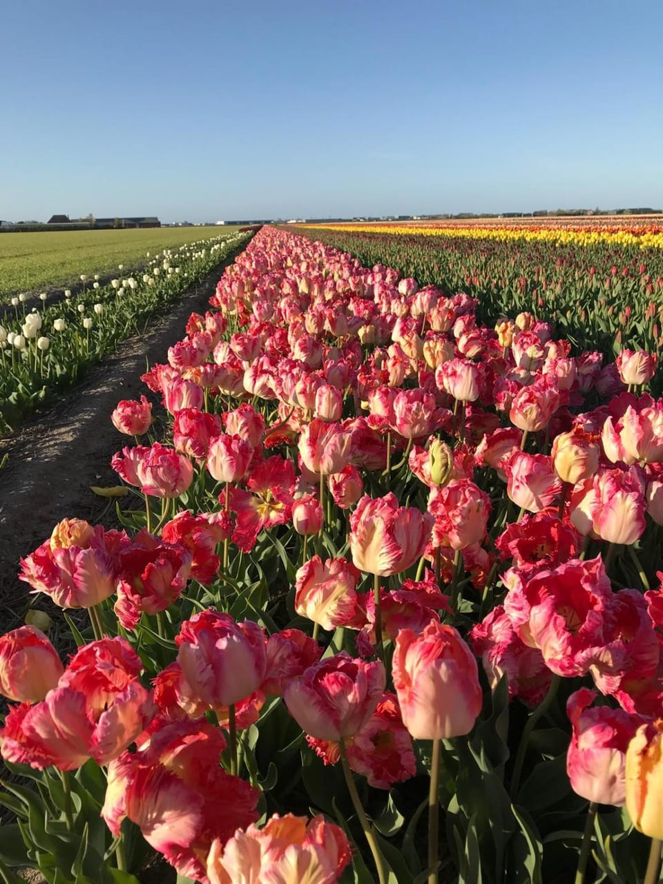 NEW! Nightglow Residency Bed and Breakfast in Amstelveen