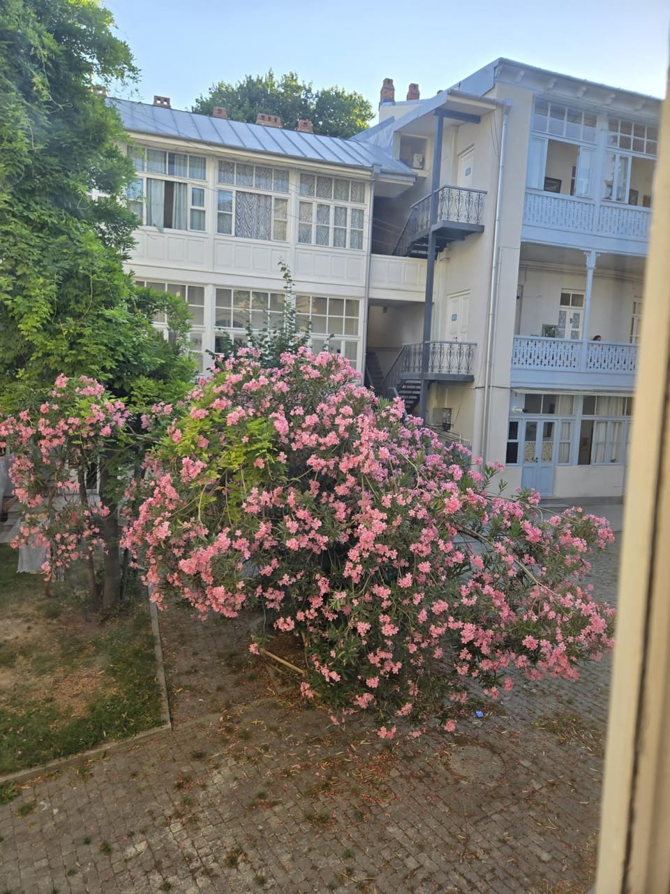 Garden view