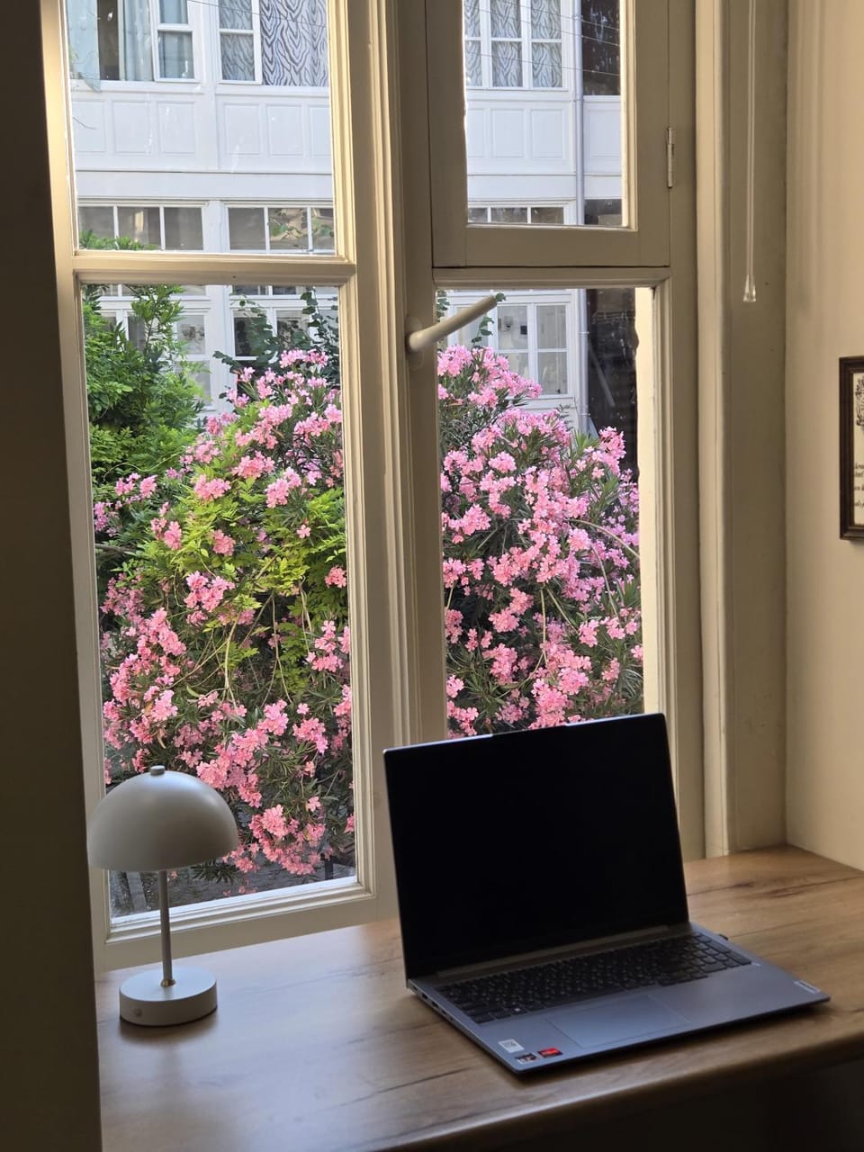 Garden view