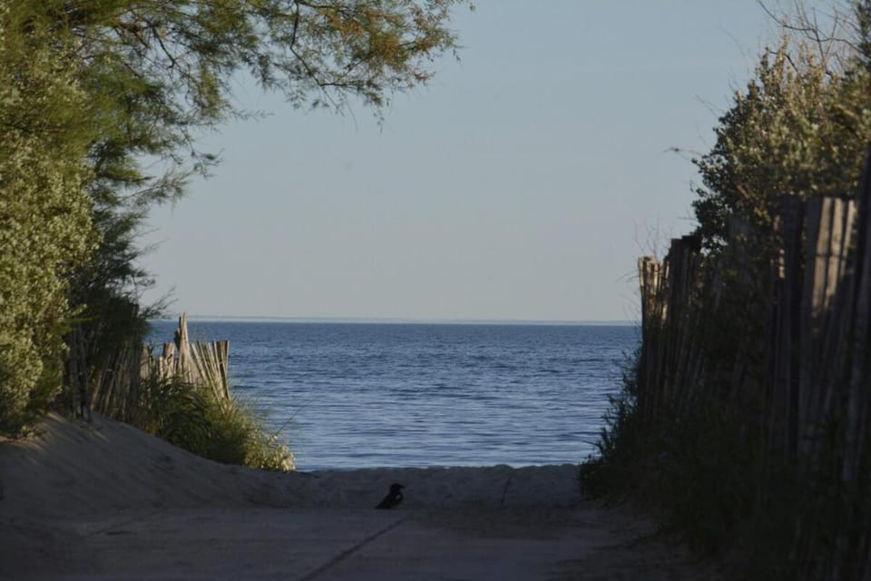 Day, Natural landscape, Beach, Sea view