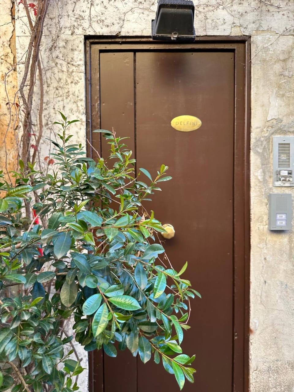 Home Delfini in Trastevere Apartment in Rome