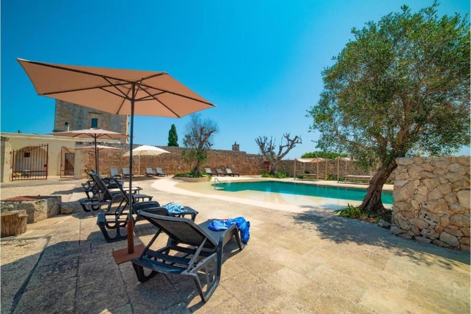 Pool view, Swimming pool, sunbed