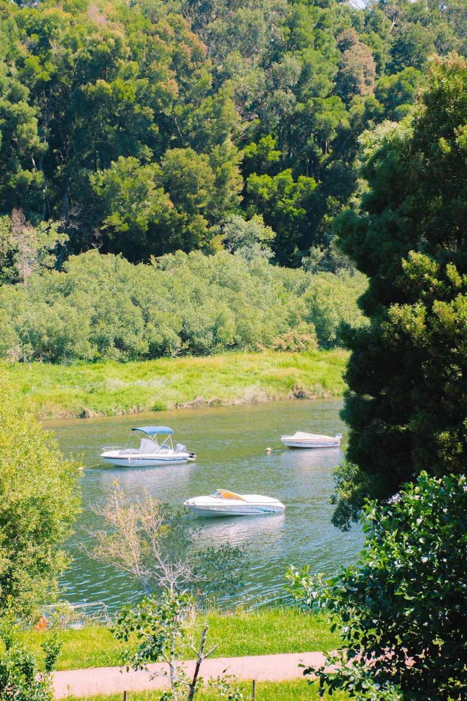 Just Like Home - Guarda Rios Villa in Viana do Castelo District, Portugal