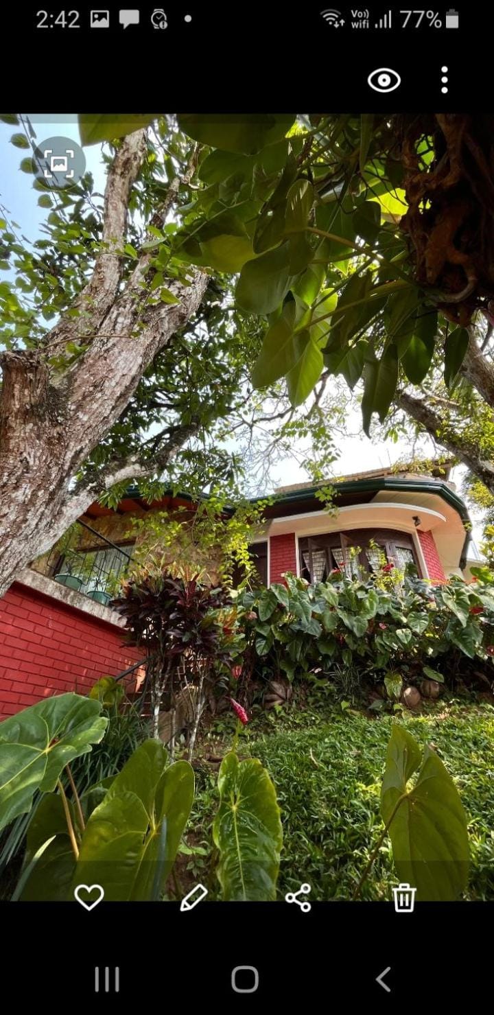 Mount Haven Bed and Breakfast in Kandy