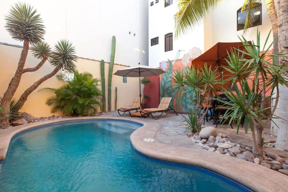20 ft to malecón, downtown, private Pool House in La Paz