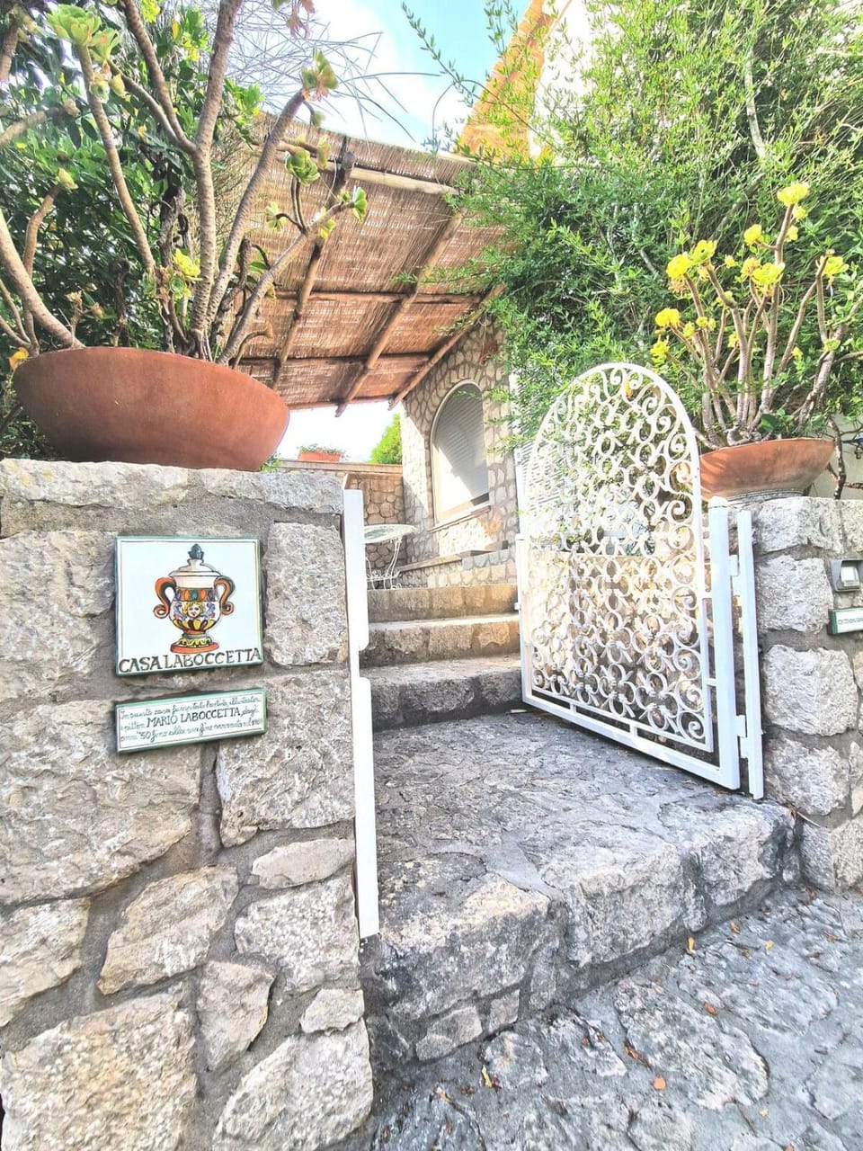 Day, Garden, Garden view