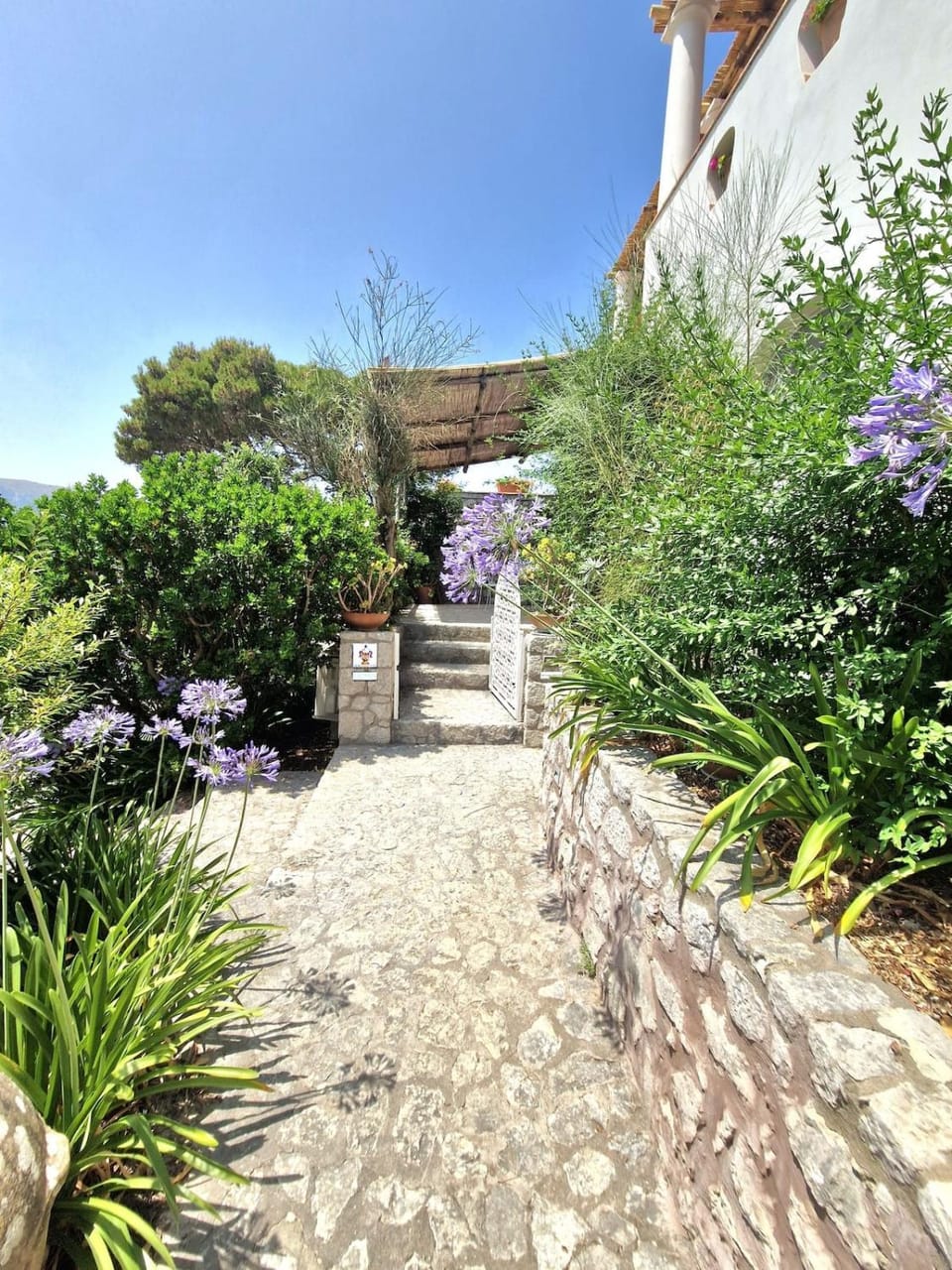 Day, Garden, Garden view