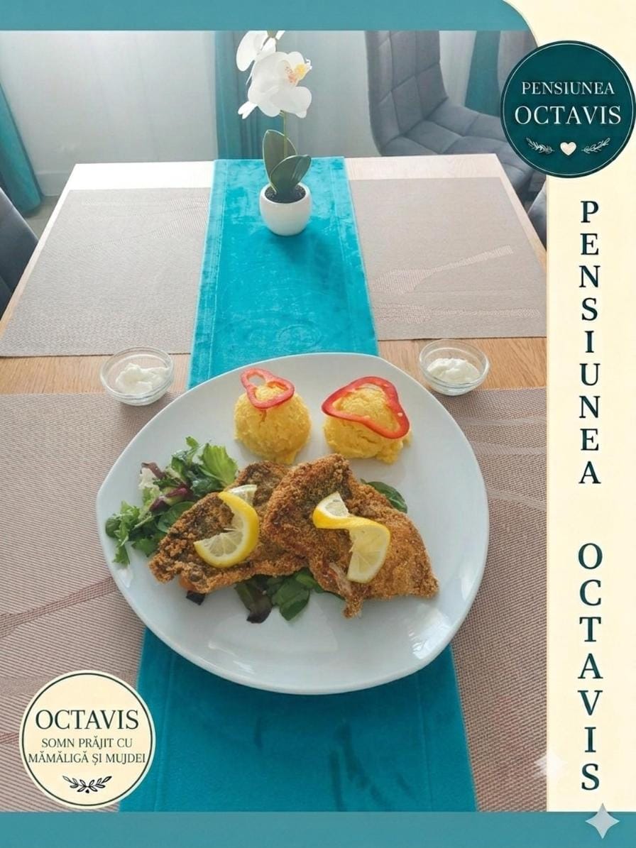 Pensiunea Octavis - Cazare în Delta Dunarii Bed and Breakfast in Romania