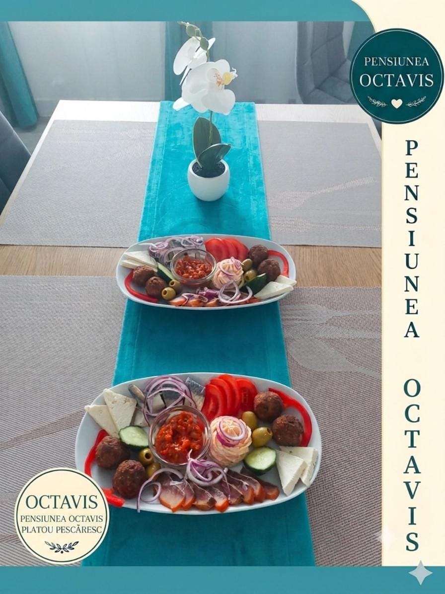 Pensiunea Octavis - Cazare în Delta Dunarii Bed and Breakfast in Romania