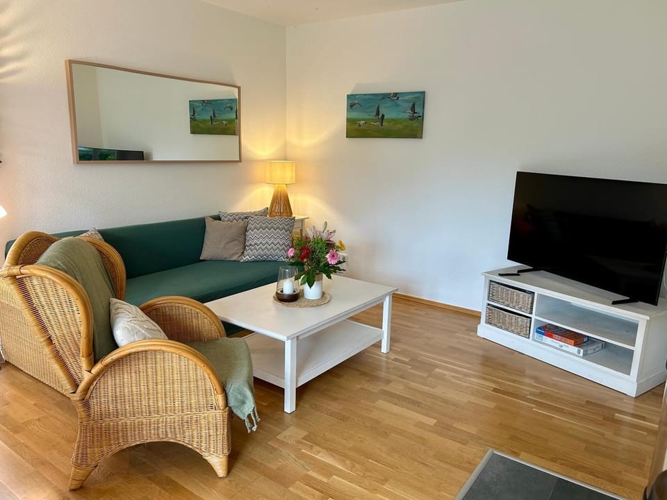 Communal lounge/ TV room, TV and multimedia