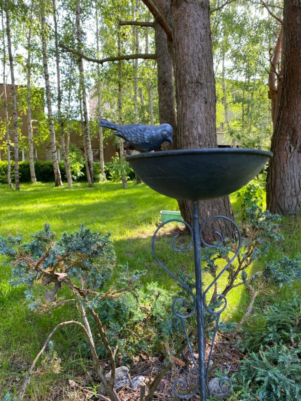 Day, Garden, Garden view