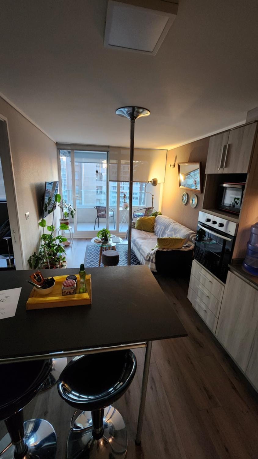Cozy and nice apartment Apartment in Vina del Mar