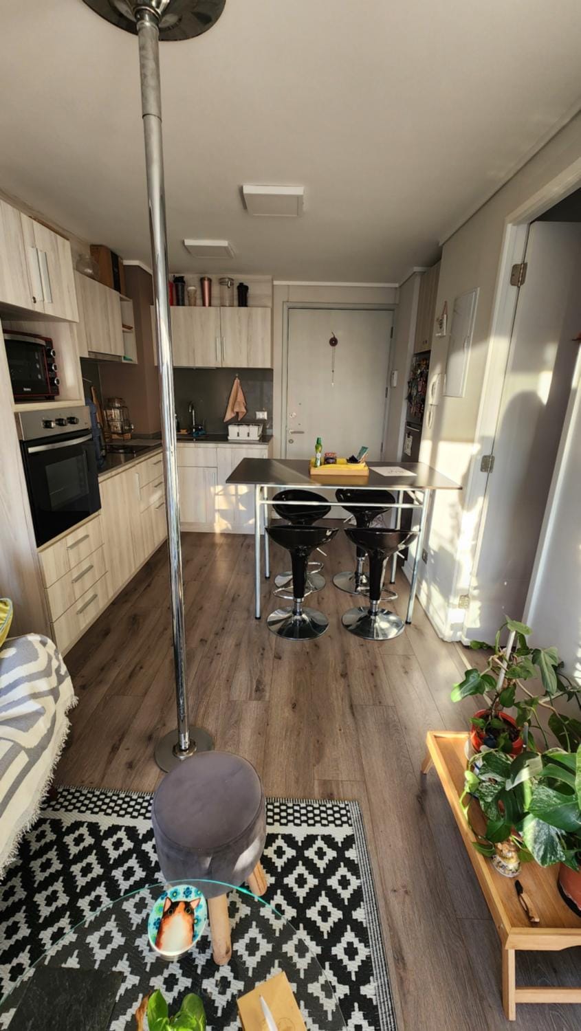 Cozy and nice apartment Apartment in Vina del Mar