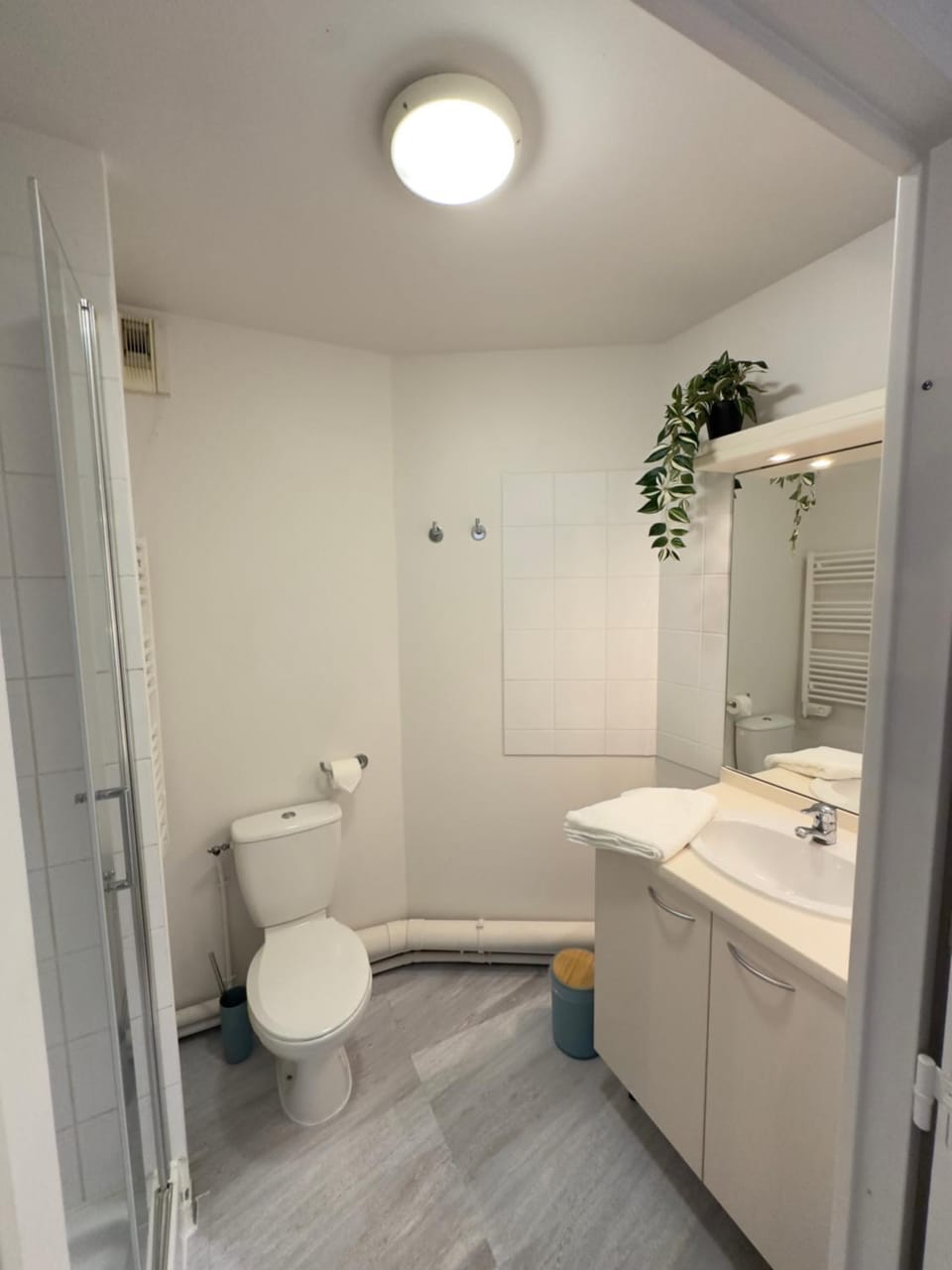 Shower, Toilet, Bathroom, towels