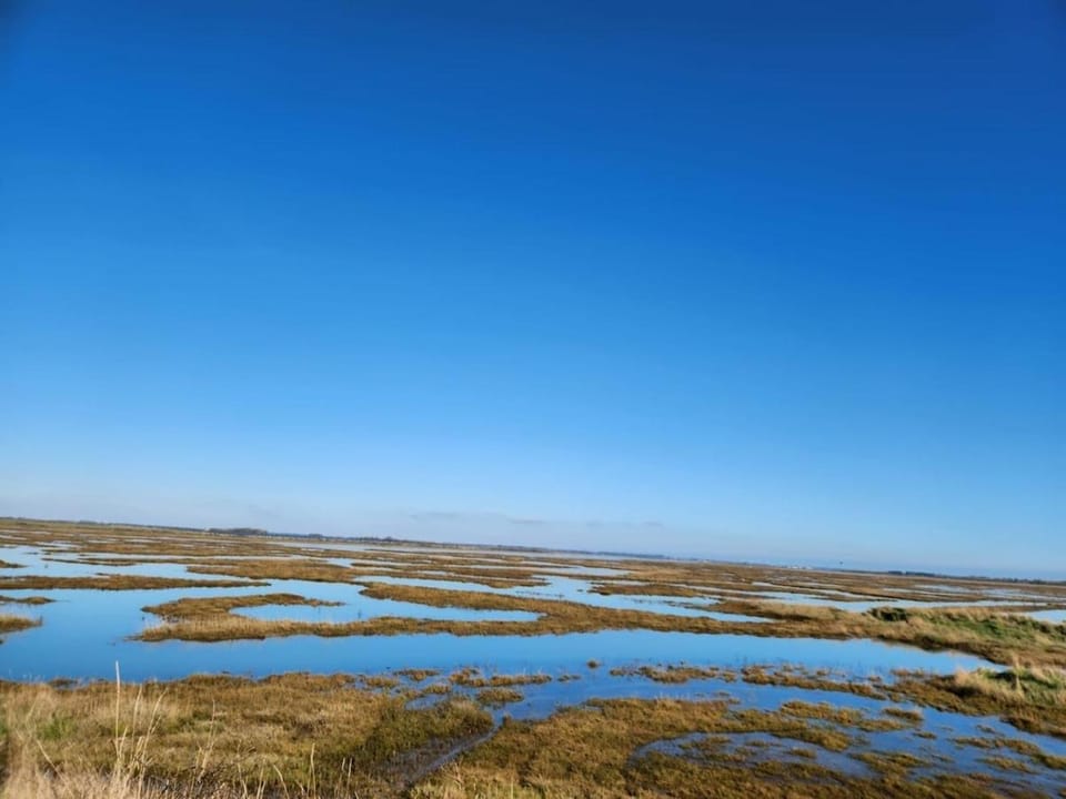 Historic Retreat Near To Mersea Island Apartment in Mersea Island