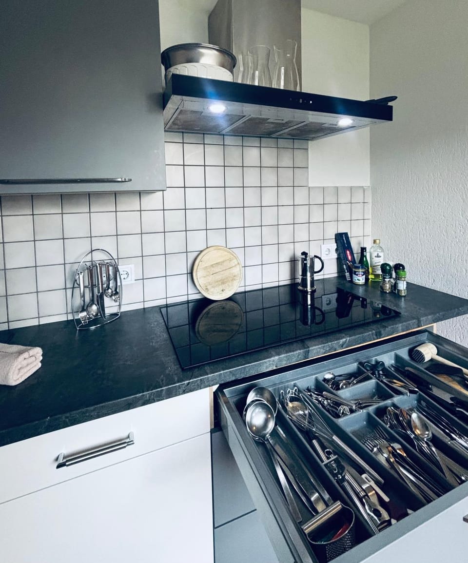 Kitchen or kitchenette, dishwasher, stove