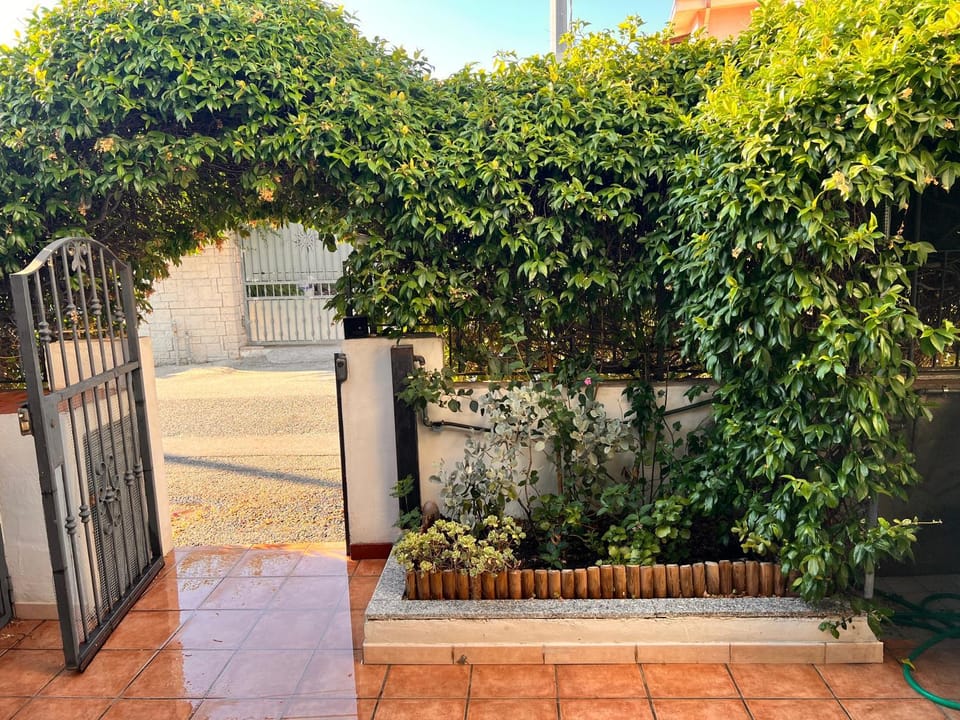 Garden view
