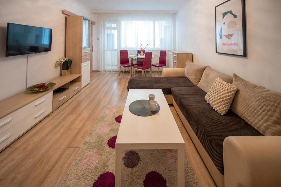 Spacious 1BDR in the Center with FREE Parking Apartment in Sofia