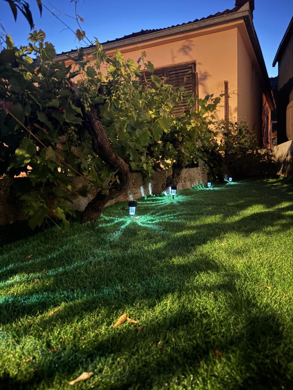 Vita Rustica Apartment in Dubrovnik-Neretva County