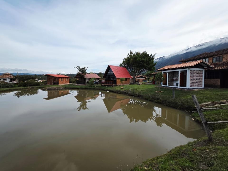 Lake view
