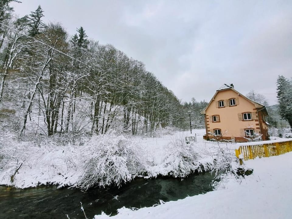 Property building, Day, Natural landscape, Winter, Hiking, Cycling, Garden view