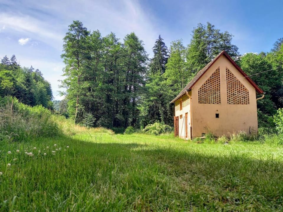 Spring, Day, Natural landscape, Garden view