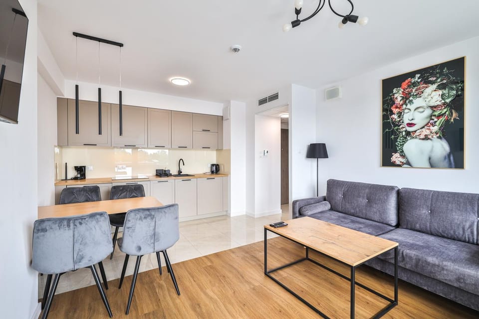 Kitchen or kitchenette, Living room, stove