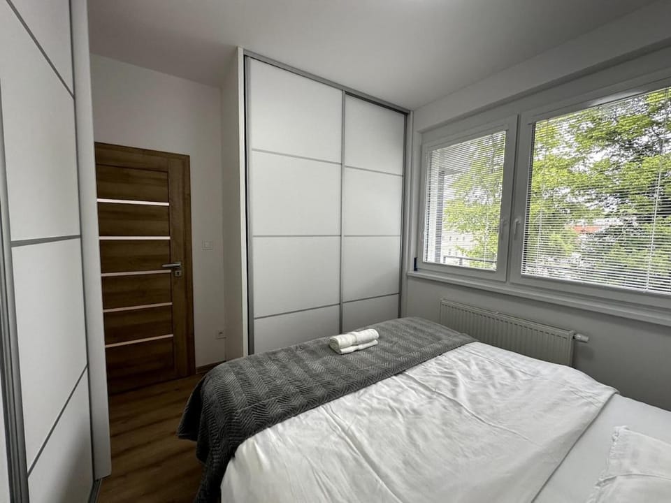 Bed, Photo of the whole room, Bedroom, wardrobe
