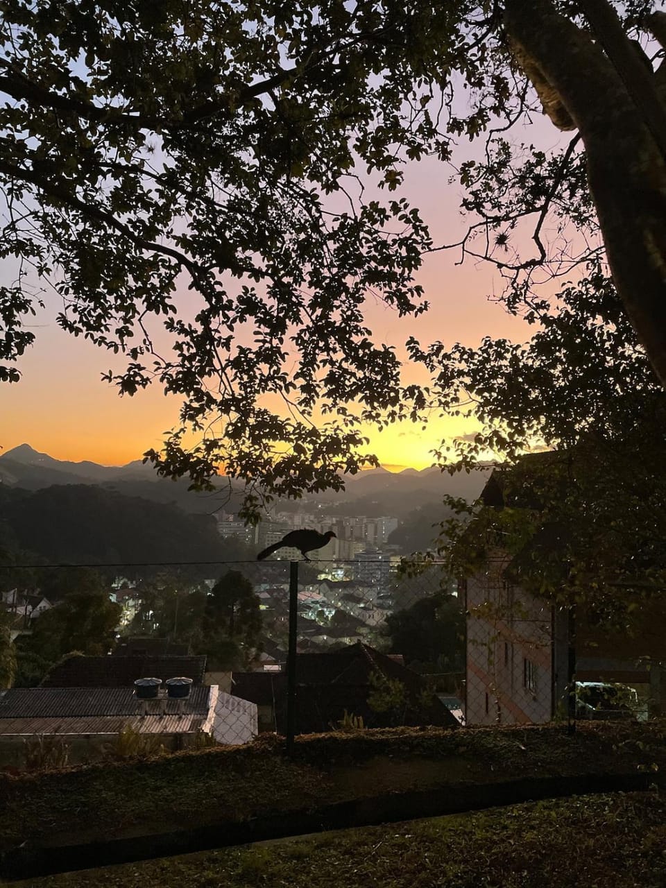 View (from property/room), Mountain view, Sunset