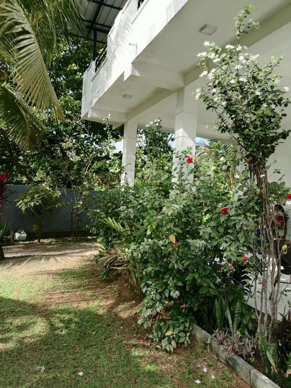 Property building, Garden, Garden view