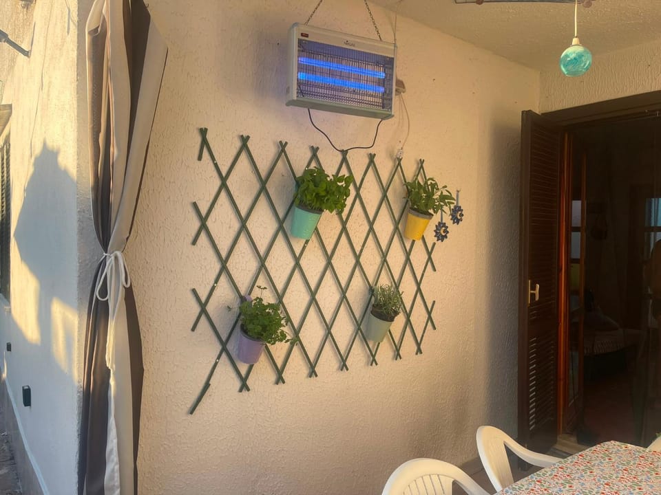 Palinuro La Dimora dell 'Avvocato House in Campania