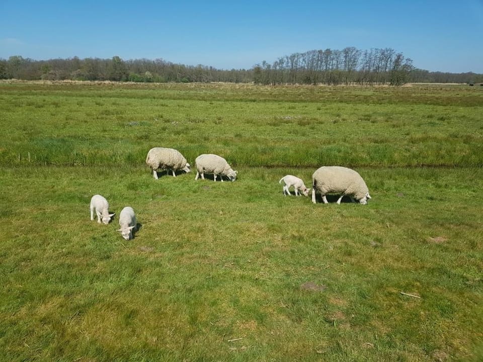 Authentic villa near Amsterdam and nature Villa in Gelderland, Netherlands