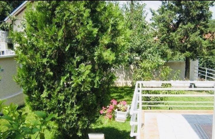 An excellent house for rent in quiet area Villa in Skopje