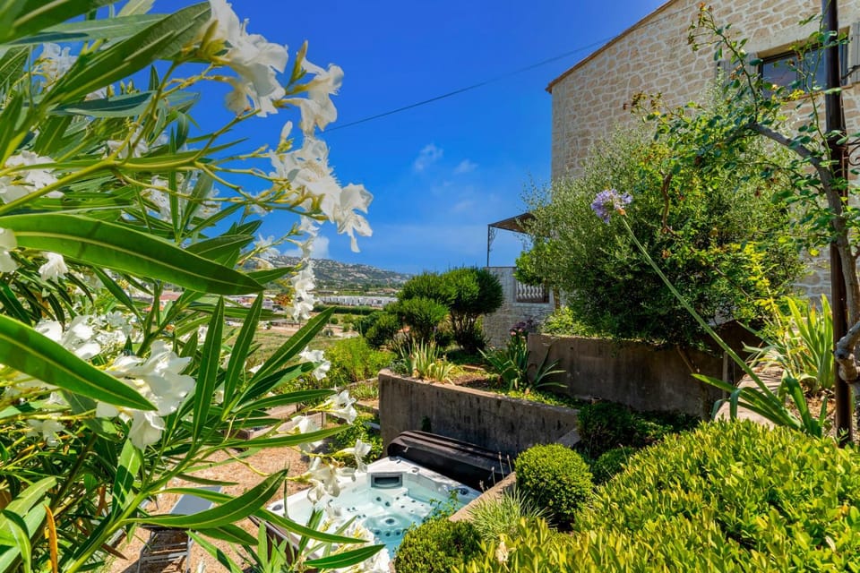 Natural landscape, Garden view