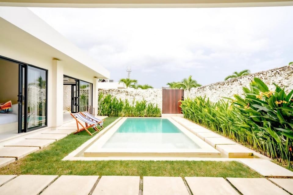 Garden, Pool view, Swimming pool, sunbed
